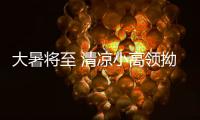 大暑将至 清凉小高领拗造型